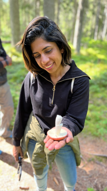 Learn about the different characteristics and families of fungi in the Finnish forest.