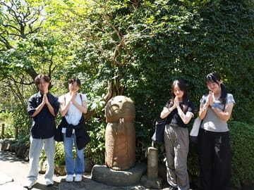 Kamakura Early Morning Tour (Tokyo Departure Available)