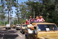 Amazing Skywalk, Madeira Wine Tasting and more... Half day in Open Roof 4x4 9
