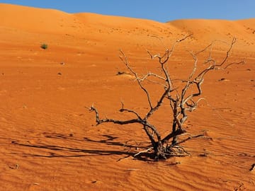 7-Day Camping and ATV Tour in Al Hamra and Bald Sayt
