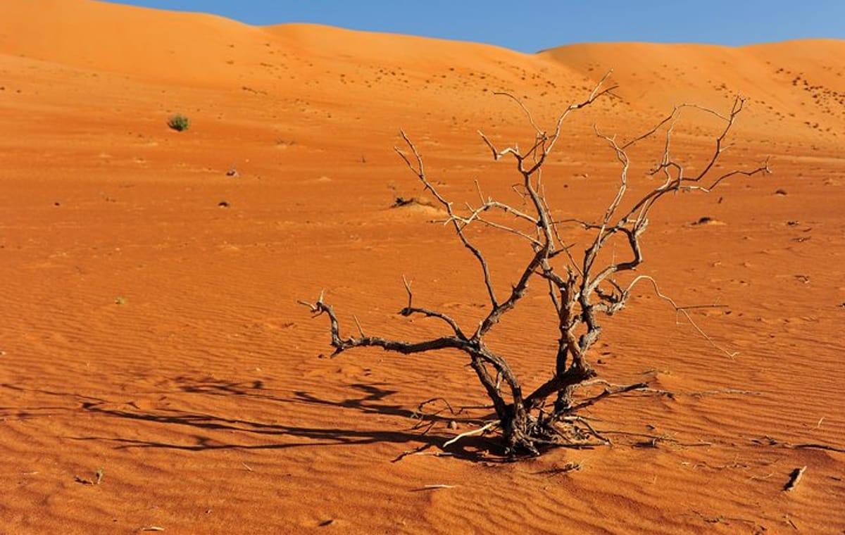 Camping Tour 7 Days Package