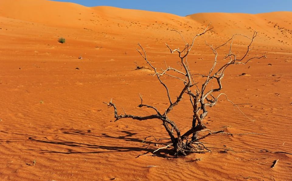7-Day Camping and ATV Tour in Al Hamra and Bald Sayt