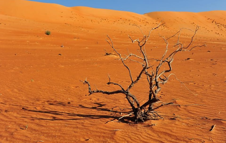 7-Day Camping and ATV Tour in Al Hamra and Bald Sayt