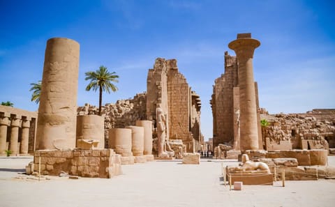 Private Tour of Karnak and Luxor Temples in Luxor
