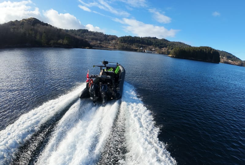 Alverstraumen RIB Safari