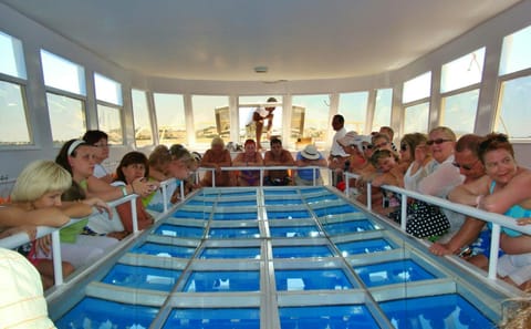 Glass Bottom Boat Tour in Sharm El Sheikh, Egypt