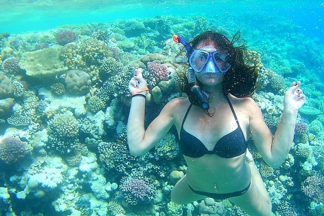 Snorkeling Sea Trip &amp; Diving Adventure with Lunch - Marsa Alam