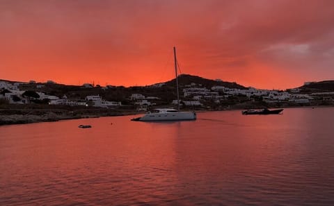Mykonos Catamaran Tour to Delos and Rhenia Islands