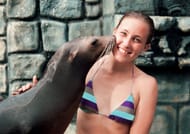  Sea Lion Discovery at Cozumel  10