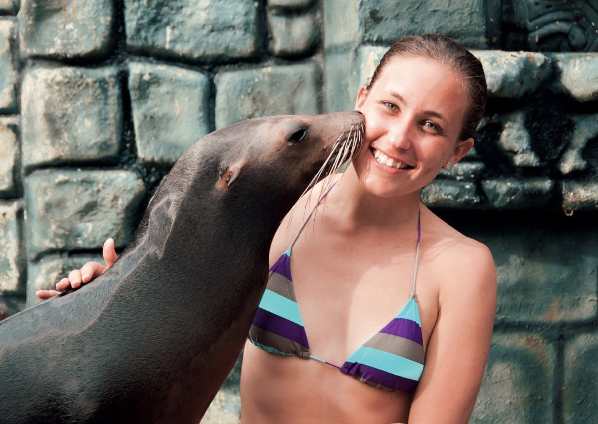  Sea Lion Discovery at Cozumel  10
