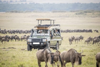4 Days Maasai Mara Flying Luxury Safari at Keekorok Lodge on Jeep