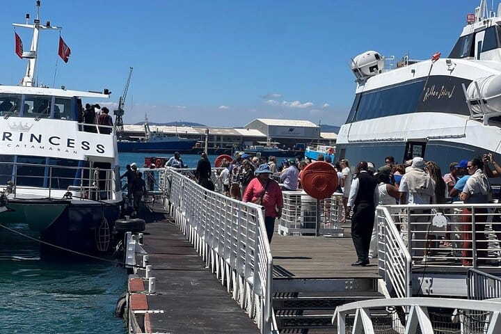 Robben Island Half Day Tour With Pre Booked Ticket from Cape Town