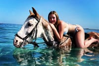 Swimming By Horse in Red Sea, Horse Riding Sea &amp; Desert-Hurghada