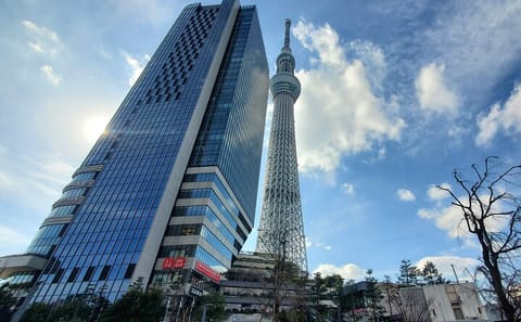 Full Day Tokyo Customizable Private Tour With English Driver