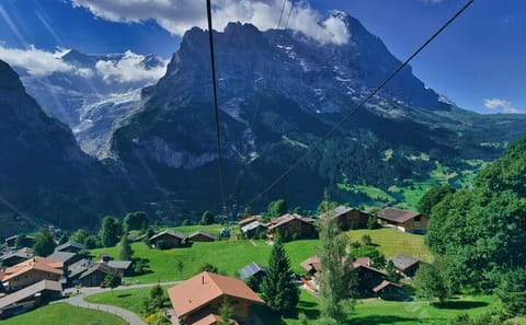 Grindelwald and Lauterbrunnen Valley Day Trip from Zurich
