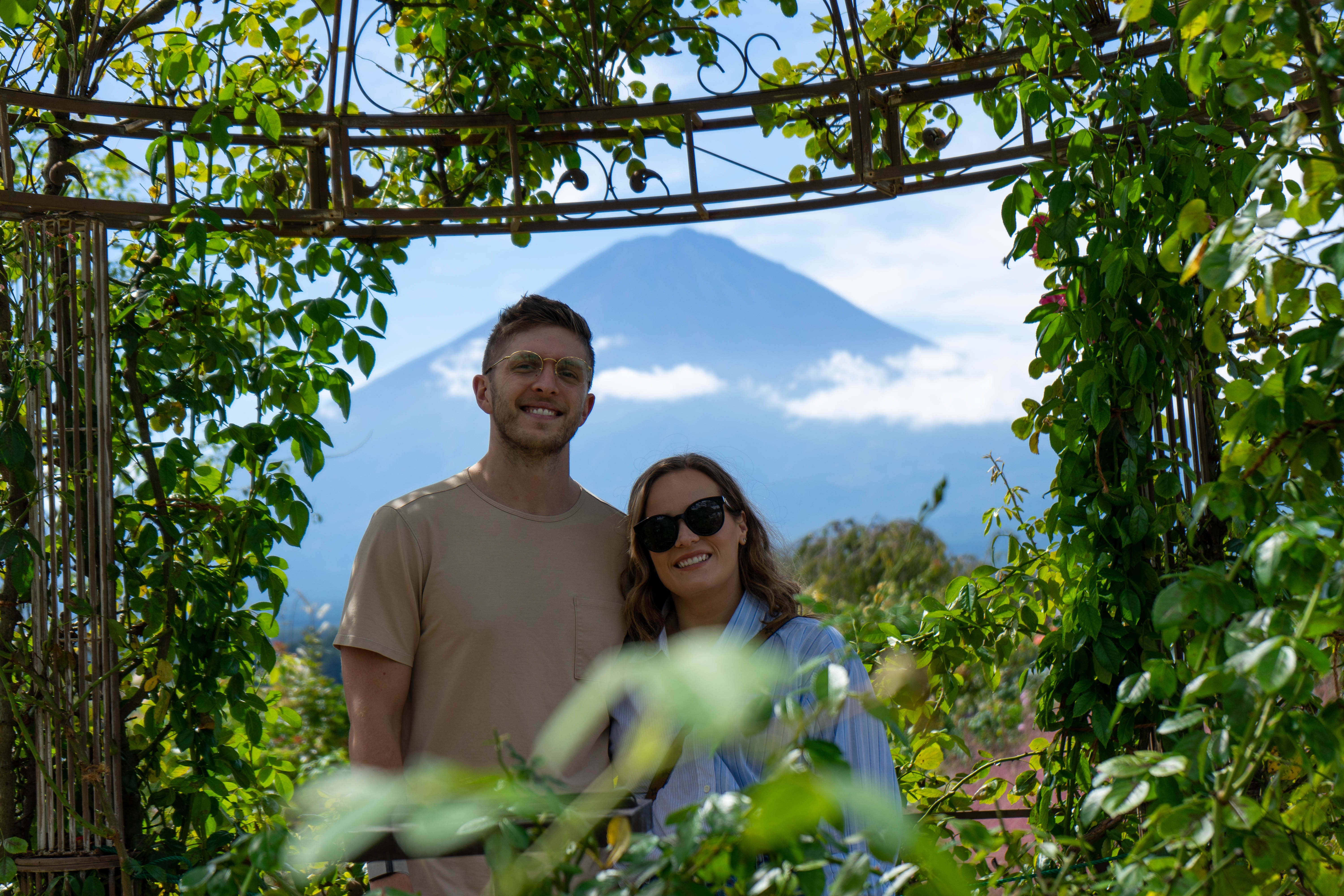 Mt. Fuji Private Sightseeing Tour with Local from Tokyo