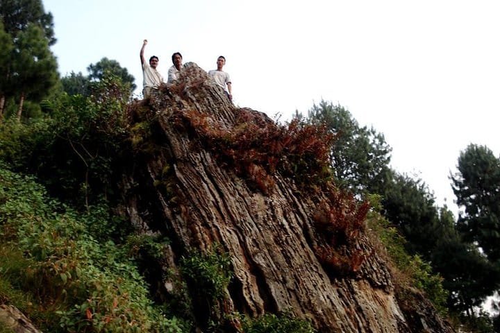 1 Day Phulchowki Day Hike – A Scenic Escape to Kathmandu’s Highest Hill