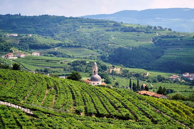 From Verona: Half-Day Valpolicella & Amarone Wine Experience photo 6