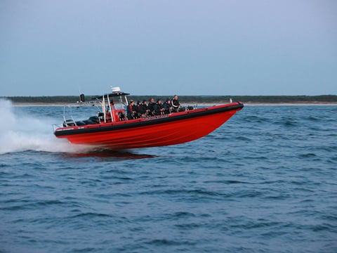 Whale Watching from Downtown Reykjavik by RIB Speedboat , photo 13