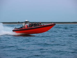 Whale Watching from Downtown Reykjavik by RIB Speedboat , photo 13