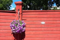 Private National Park and Porvoo Old Town tour from Helsinki 4