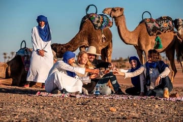Quad Biking and Camel Riding in Agafay Desert from Marrakesh