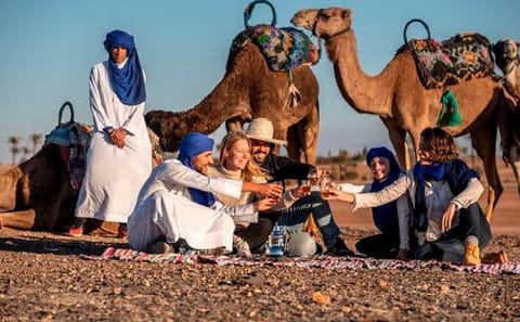 Quad Biking and Camel Riding in Agafay Desert from Marrakesh
