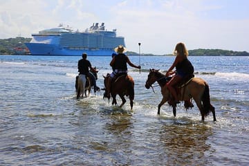 Horseback Riding and Beach Break in Flowers Bay, Roatán