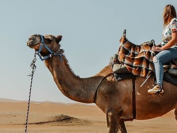 Camel Riding Adventure in Hurghada's Desert Landscapes