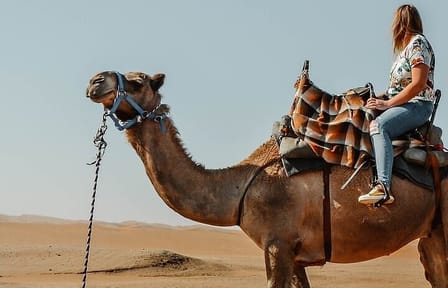 Camel Riding Adventure in Hurghada's Desert Landscapes