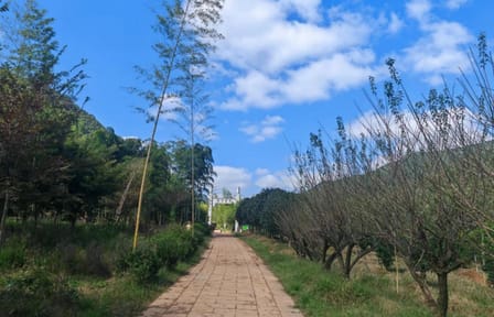 Family Hike and Cooking Adventure in Changxing from Shanghai