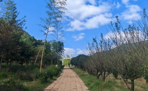Family Hike and Cooking Adventure in Changxing from Shanghai