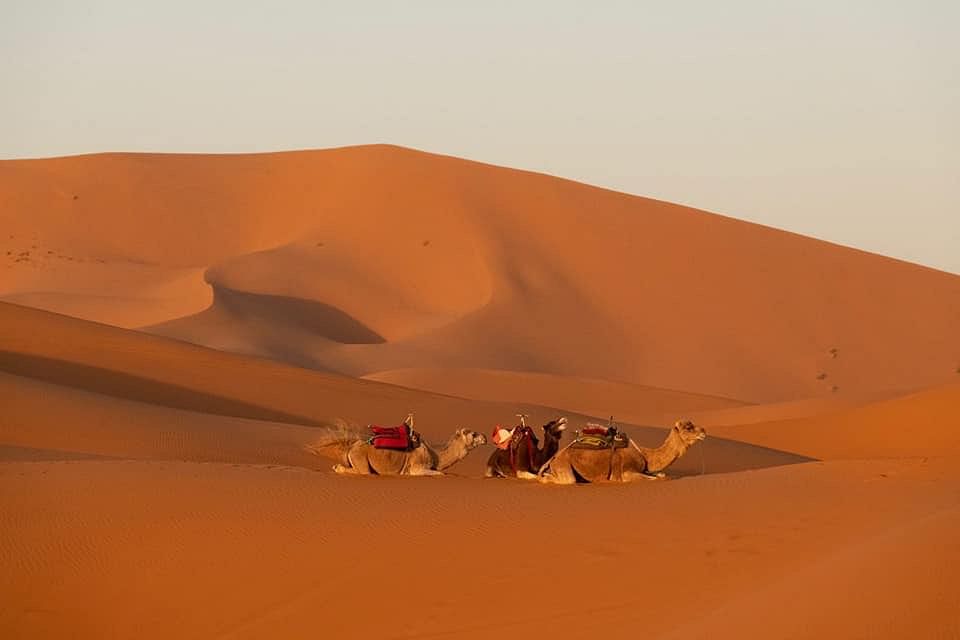 Confort 4 days Trip To Sahara from Marrakech