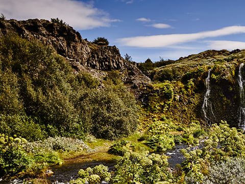 Gjáin (e. The Gorge) A natural oasis of lush greenery and waterfalls