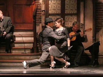 Tango Show Experience with Private Transfers in Buenos Aires