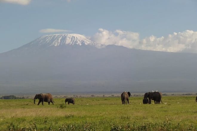 3-Day Amboseli National Park - Group Joining Safari 6