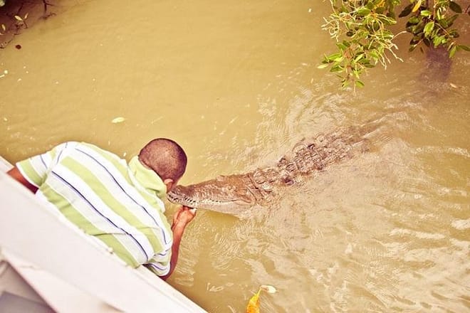 BLACK RIVER SAFARI