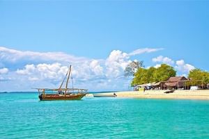 Safari Blue Zanzibar & Menai Bay Fascinating day Sea Trip With Lunch - Zanzibar