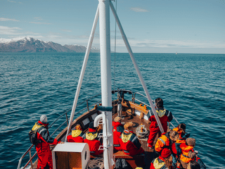 Húsavík: Small-Family Run, Responsible Whale Watching, photo 32