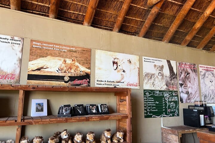 Giraffe Encounter and Lion Park with Wine Tasting in Stellenbosch