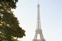 Private Disneyland trip with Eiffel Tower  6