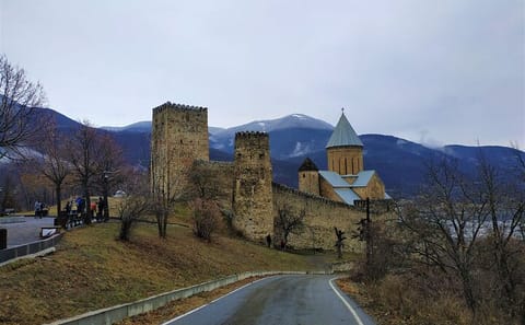 Kazbegi Day Tour from Tbilisi with Ananuri and Pasanauri Stops