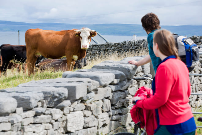 Cycling around Galway City. Self-guided.  photo 4