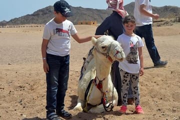 ATV and Camel Safari with BBQ Dinner in Hurghada