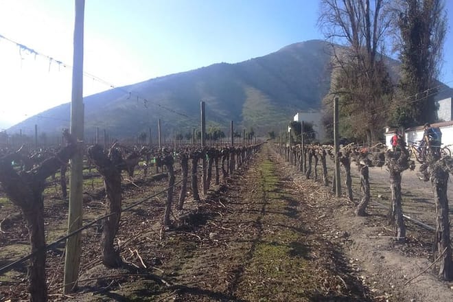 Private Maipo Valley Wine Experience from Santiago 7
