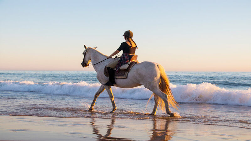 Beach Horse Riding Dubai with Daytur