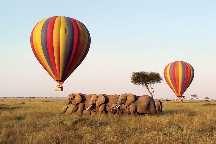 Hot Air Balloon in Masai Mara