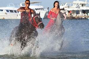 Amazing 2 Hours Horse Ride & 7 min Parachute & 2 Hours semi-submarine-Hurghada 