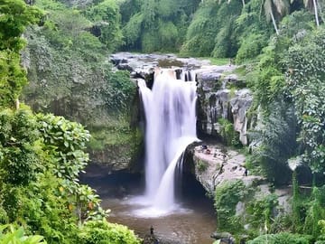Private Cultural Tour of Ubud: Tampaksiring and Tegalalang