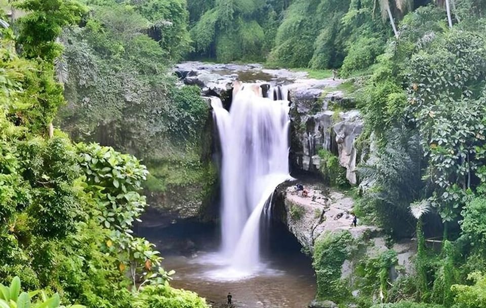 Private Cultural Tour of Ubud: Tampaksiring and Tegalalang